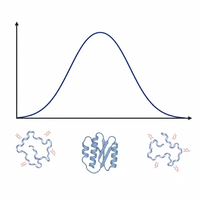 Enzyme activity is highest at an optimal pH and lower at extremes.