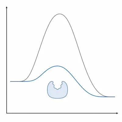 An enzyme lowers the activation energy barrier rather than adding energy.