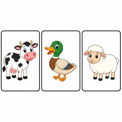 Cow, duck, and sheep picture choices.