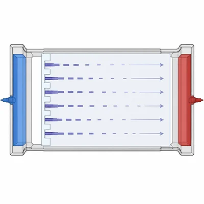 DNA fragments moving through a gel from wells on the left toward the opposite electrode on the right.