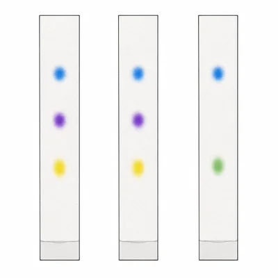 Three chromatography strips, where two have matching blue, purple, and yellow spots and one has blue and green spots.