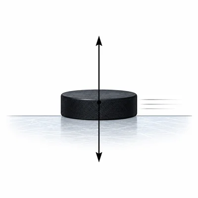 A hockey puck sliding on ice with only balanced vertical force arrows.
