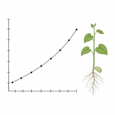 A line graph with points rising over time next to a small bean plant.