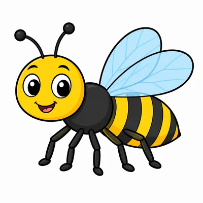 A generic insect showing common insect body features.