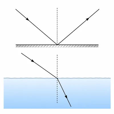 Diagram showing a light ray reflecting from a mirror and another ray refracting as it enters water.