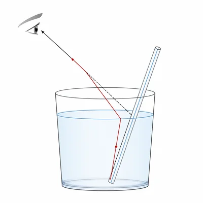 A straw appears bent at the water surface because light rays refract between water and air.