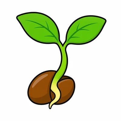 A baby plant sprouting from a seed