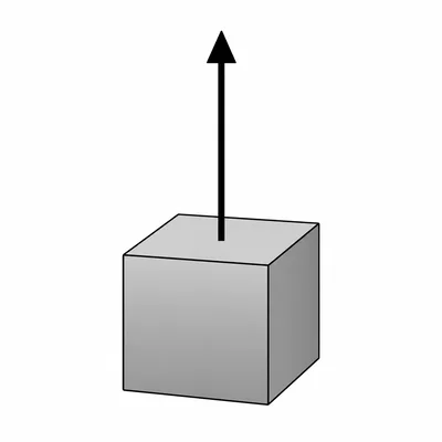 An object with an upward direction arrow.