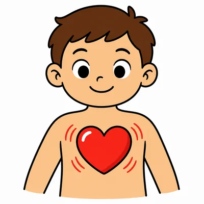 The heart pumps blood in the body.