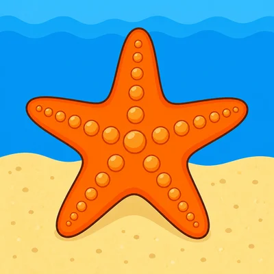 A starfish shaped like a star.