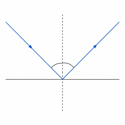 Incident and reflected rays make equal angles with the normal at a plane mirror.