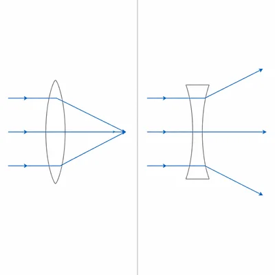 A convex lens converges parallel rays, while a concave lens diverges parallel rays.