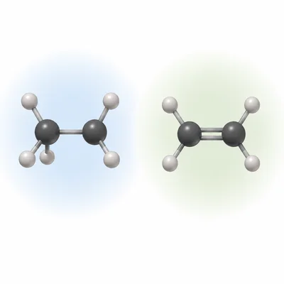Side-by-side molecular models showing a carbon-carbon single bond and a carbon-carbon double bond.