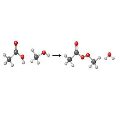 Reaction diagram showing a carboxylic acid and an alcohol forming an ester and water.
