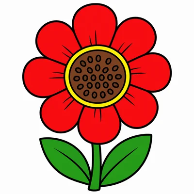 A colorful flower with seeds in its center