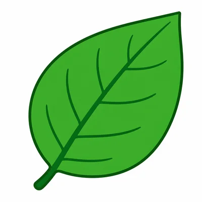 A green flat leaf