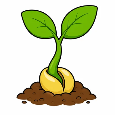 A seed sprouting into a new plant