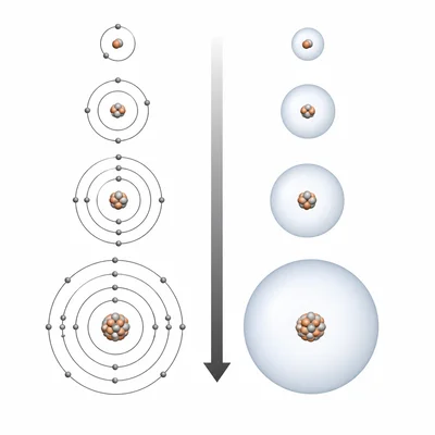 Group column comparison showing a much larger atom lower in the group.
