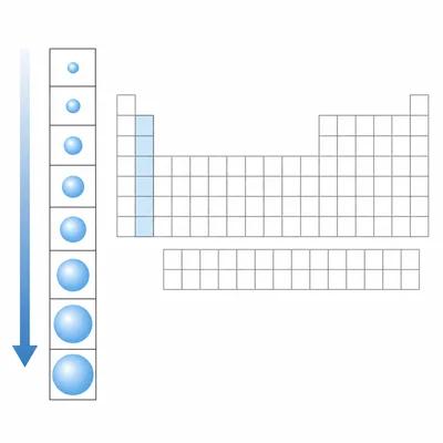 Periodic table column showing atomic radius increasing downward.