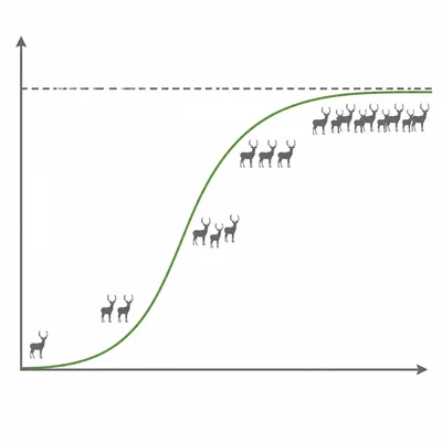 An unlabeled logistic growth curve leveling off near a dashed carrying capacity line with deer icons.