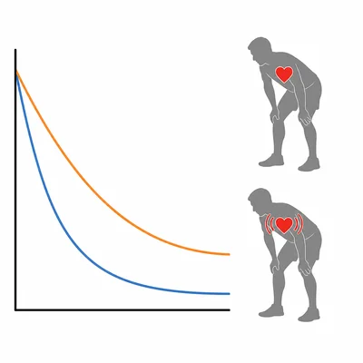 Two heart-rate recovery curves showing one person’s heart rate returning toward resting level faster than the other.