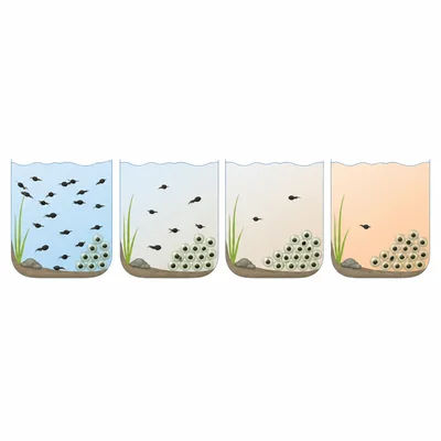 Amphibian eggs in water showing fewer tadpoles hatching as acidity increases.
