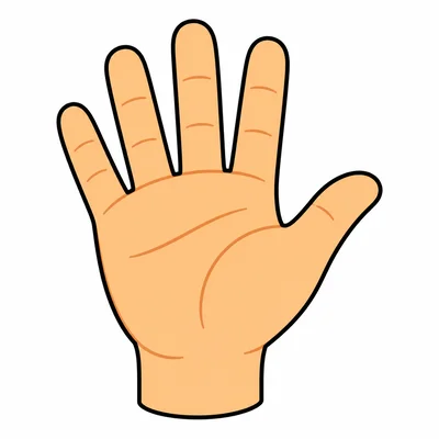 A hand shown palm up.