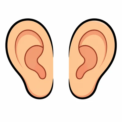 A pair of ears.