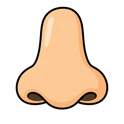 A close-up of a nose.