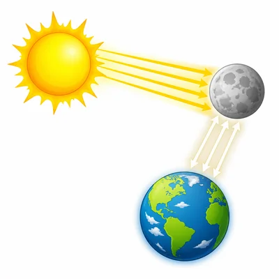 The Moon reflects light from the Sun toward Earth.