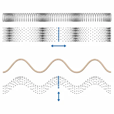 Comparison of particle motion in longitudinal and transverse waves.