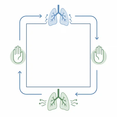 A square breathing cycle with arrows and breathing icons around each side.