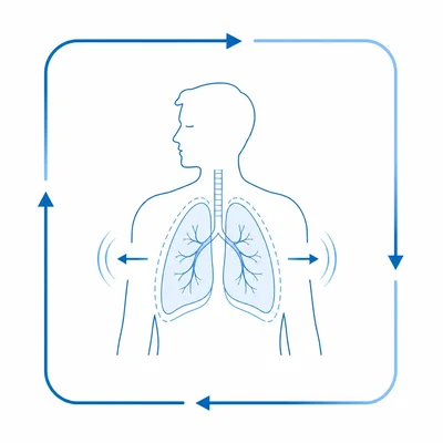 A box breathing diagram with arrows around a square and calm lungs in the center.