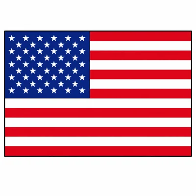 A simple United States flag with stars and stripes.