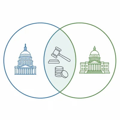 Venn diagram showing separate and shared government powers.