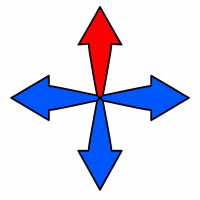 Compass rose with the top arrow highlighted.