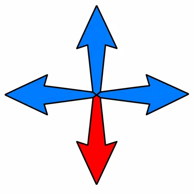 Compass rose with the bottom arrow highlighted.