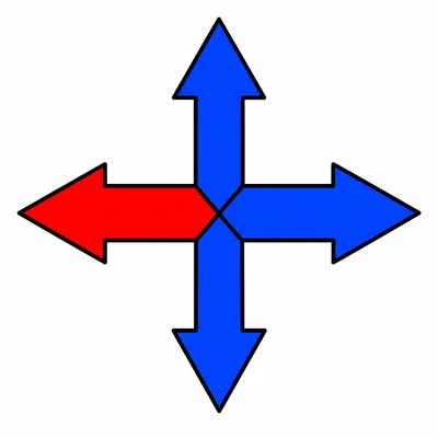 Compass rose with the left arrow highlighted.
