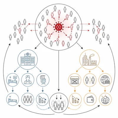 Diagram showing disease spread alongside health care and economic disruption.