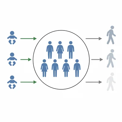 Births add people to a population while deaths remove people from it.