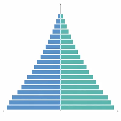 A population pyramid shows age and sex structure with mirrored horizontal bars.