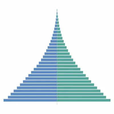 A population pyramid with a wide base and narrow top suggests many young people.