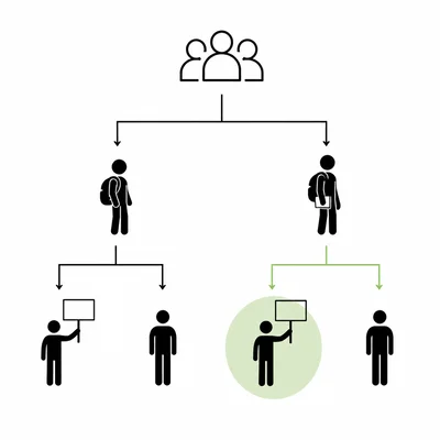 Branching diagram for club member type and volunteer status.