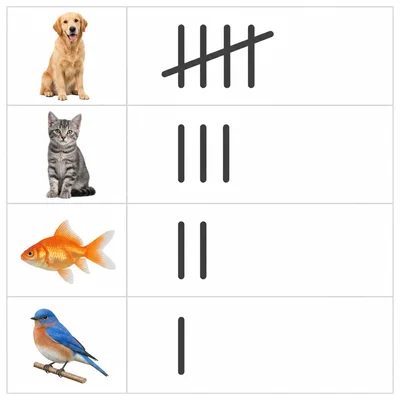 A pet tally chart with icons for dog, cat, fish, and bird and tally marks beside each.