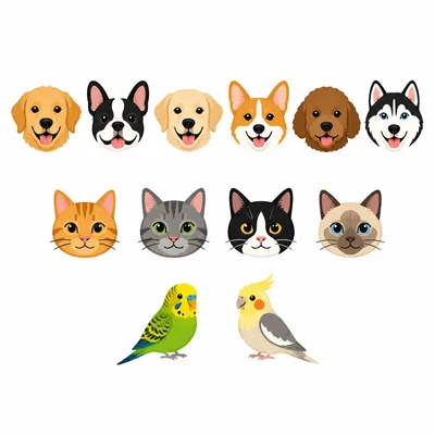 Pet picture graph with 6 dogs, 4 cats, and 2 birds.